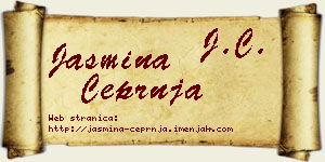 Jasmina Čeprnja vizit kartica